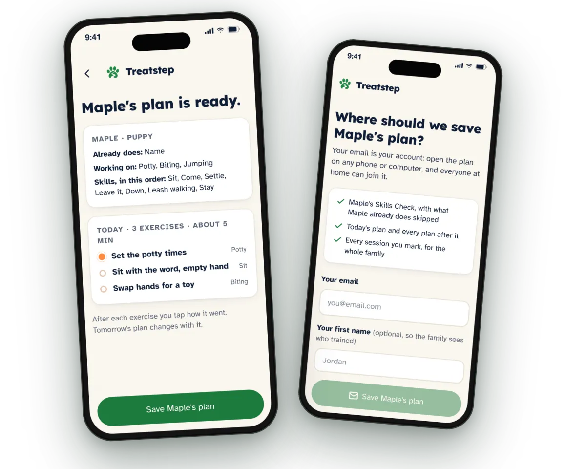 The plan ready in the app, then the screen where the email saves it