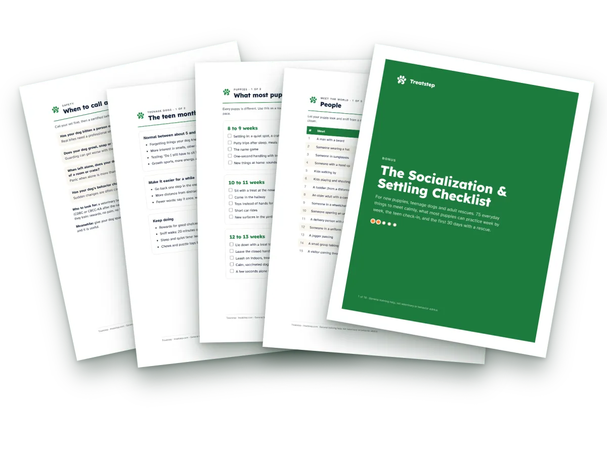 Pages of The Socialization & Settling Checklist