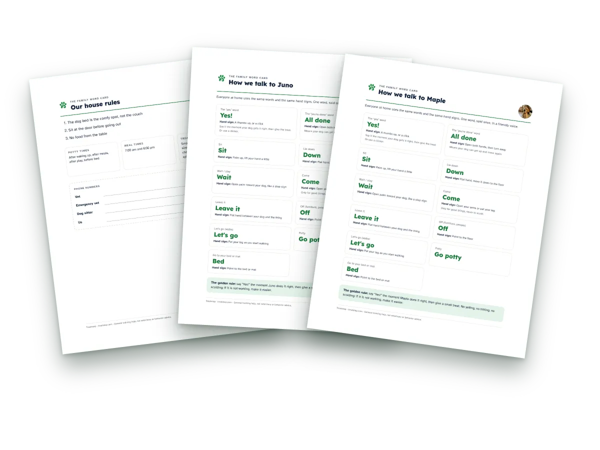 The Family Word Card pages