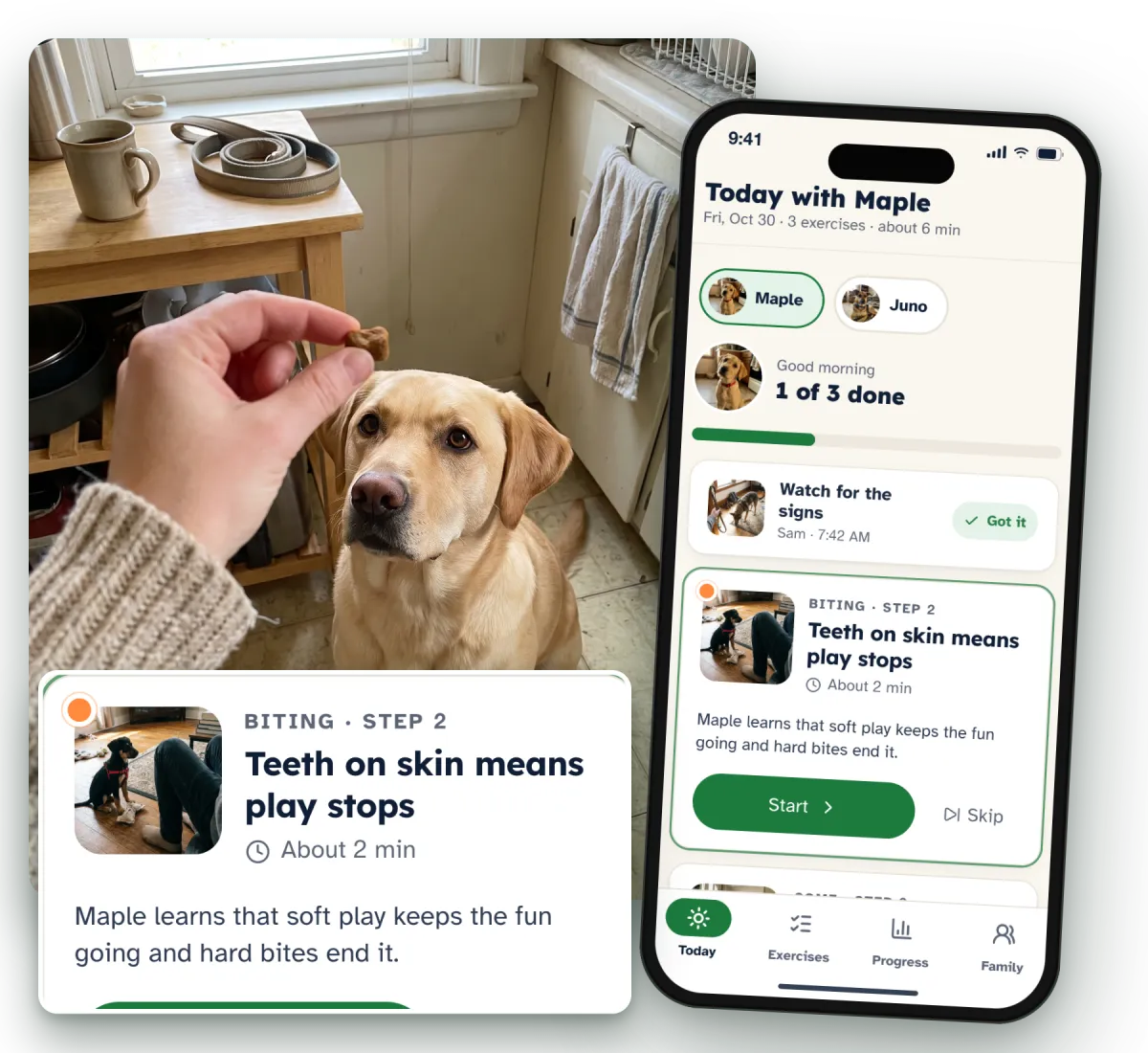 A puppy sitting for a treat on a kitchen floor, next to a phone showing Treatstep's plan for today