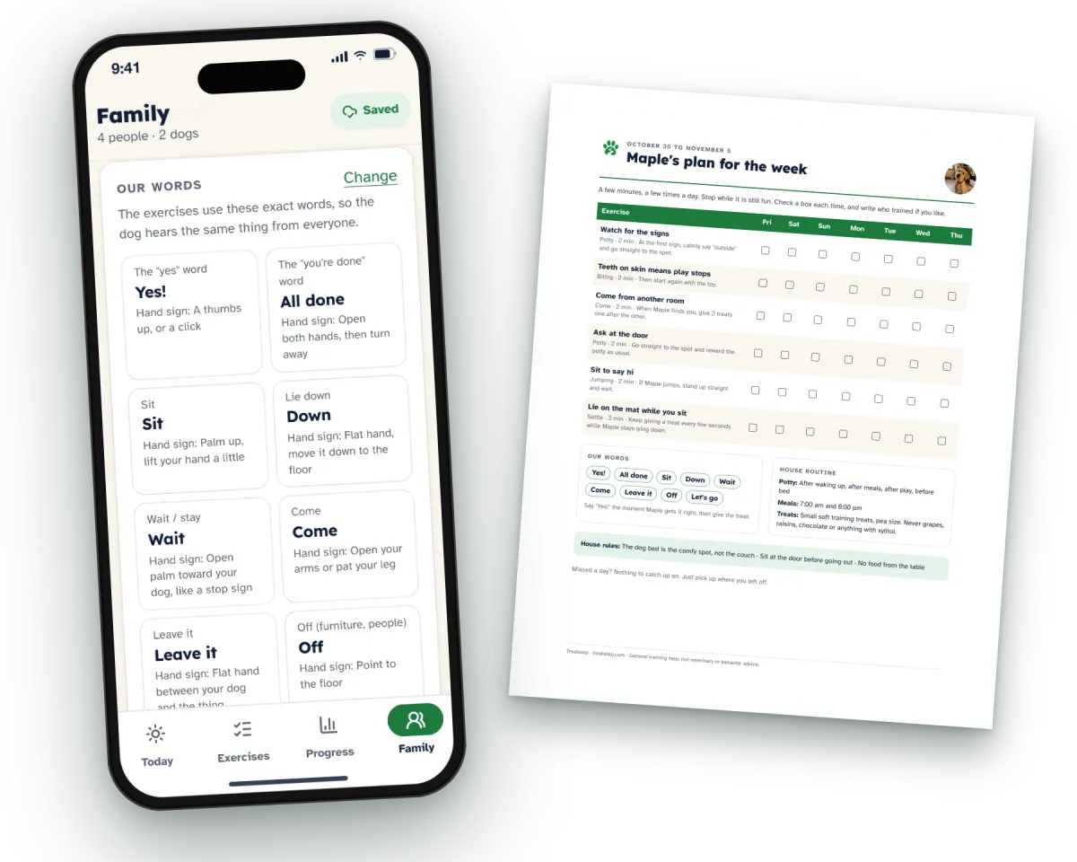 The family's words in the app and the weekly plan printed for the fridge