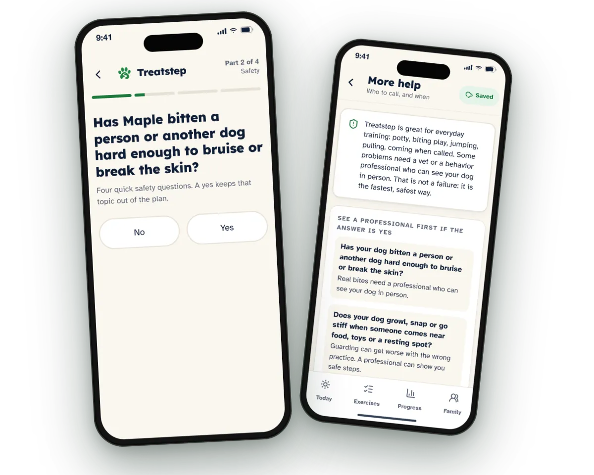 A safety question in the Skills Check and the More help screen in the app