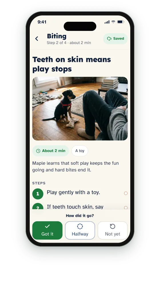 An exercise in the app with its steps